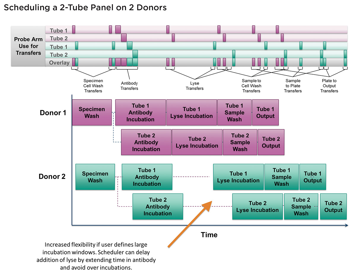 An example of the scheduling of two 2-tube panels. Time diagram.